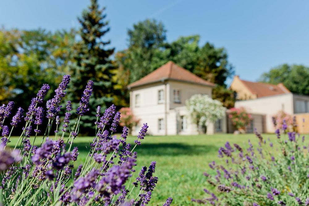 Landhaus Am Jungfernsee พอทสดัม ภายนอก รูปภาพ